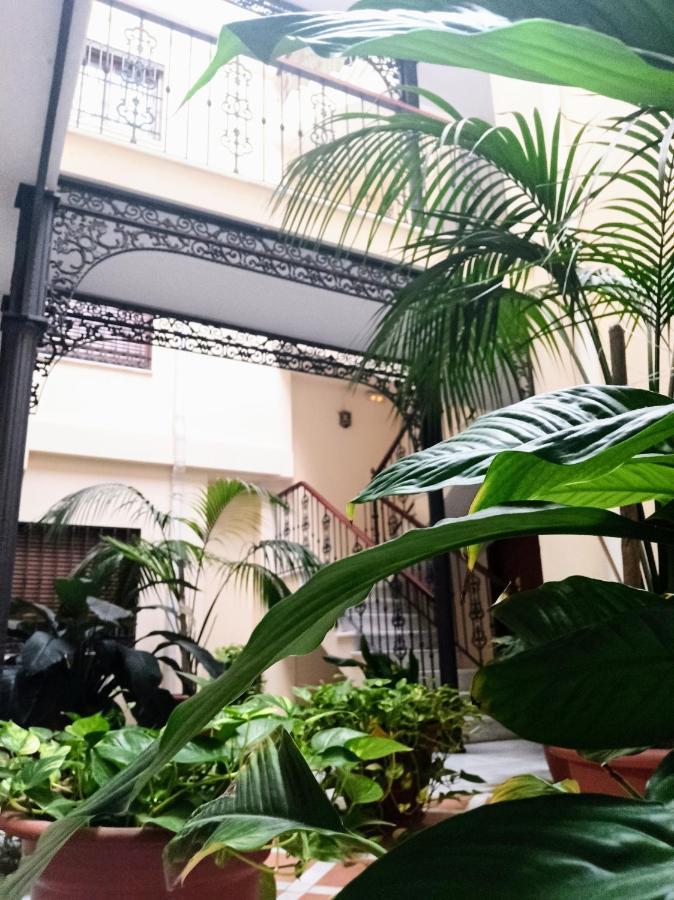 Botanic Suite 말라가 외부 사진